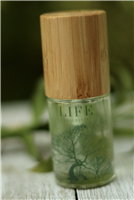 New Look! LIFE by Jace fragrance (Medium Size- 1 fl oz)
